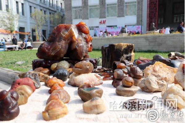 哈尔滨第二届宝玉石观赏石展将于20日举行